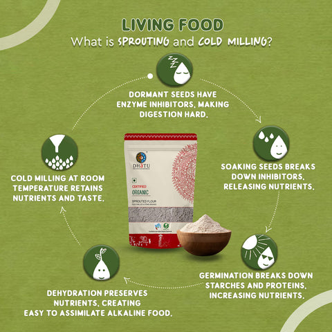 Dhātu (Dhatu) Organics – Organic Sprouted Ragi Flour